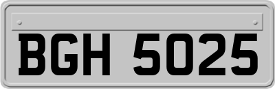 BGH5025
