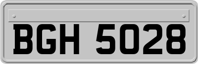 BGH5028