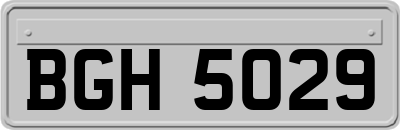 BGH5029