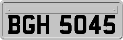 BGH5045