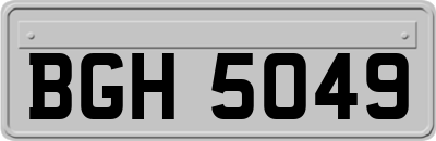 BGH5049