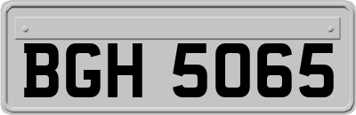 BGH5065