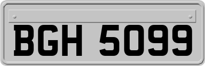 BGH5099