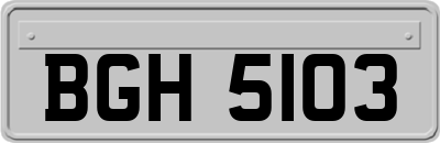BGH5103
