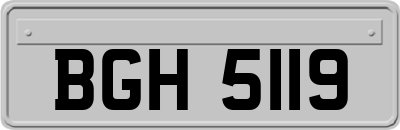 BGH5119
