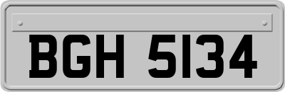 BGH5134
