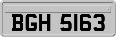 BGH5163