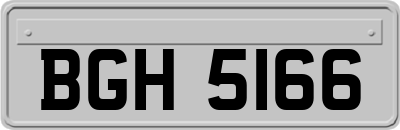 BGH5166