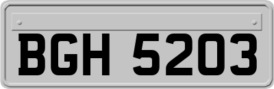 BGH5203