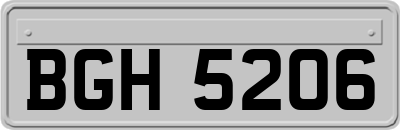 BGH5206