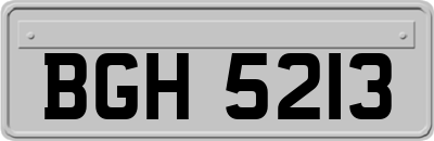 BGH5213
