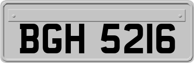 BGH5216