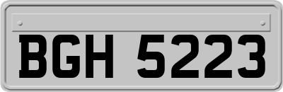 BGH5223