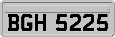 BGH5225