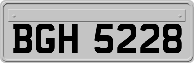 BGH5228