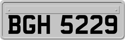 BGH5229