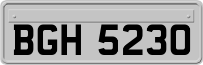 BGH5230