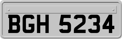 BGH5234