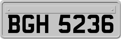 BGH5236