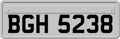 BGH5238