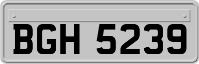 BGH5239