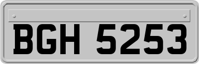 BGH5253