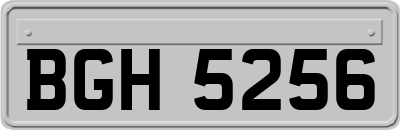 BGH5256