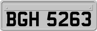 BGH5263