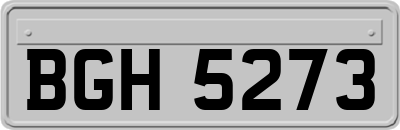 BGH5273