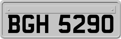 BGH5290