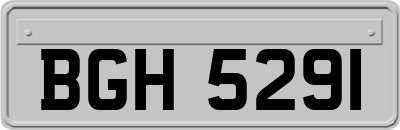 BGH5291