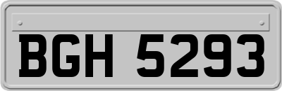 BGH5293