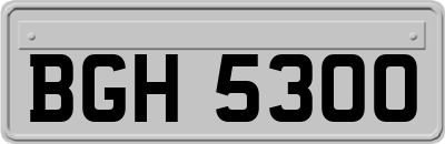 BGH5300