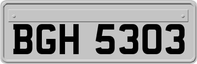 BGH5303
