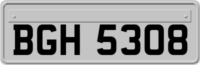 BGH5308