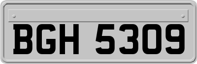 BGH5309