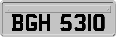 BGH5310