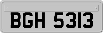 BGH5313