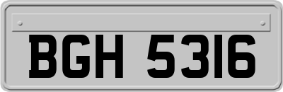 BGH5316