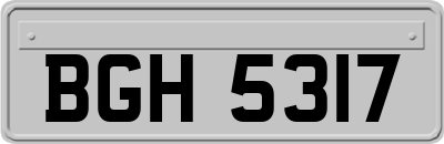 BGH5317