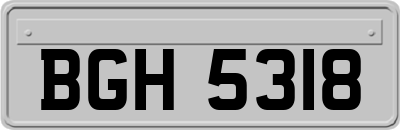 BGH5318