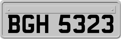 BGH5323