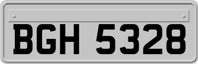BGH5328