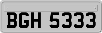 BGH5333