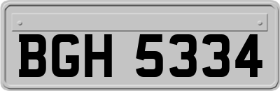 BGH5334