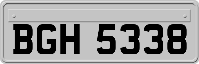 BGH5338