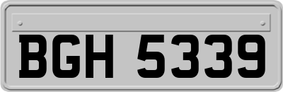 BGH5339