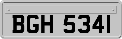 BGH5341