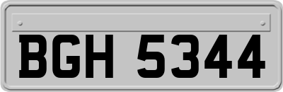 BGH5344