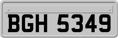 BGH5349